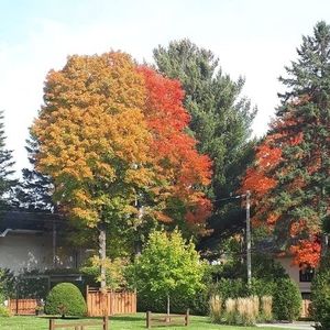 Meet your Posher, Riad